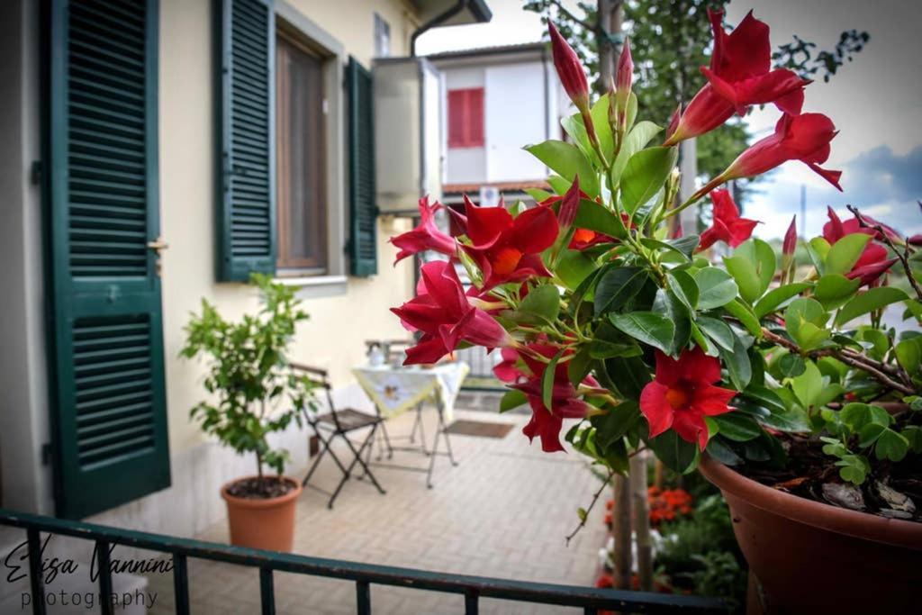 Casa Letizia Lägenhet Ponsacco Exteriör bild